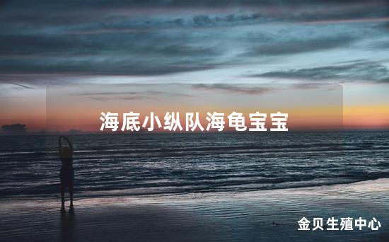 海底小纵队海龟宝宝