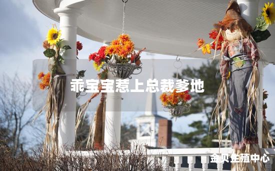 乖宝宝惹上总裁爹地