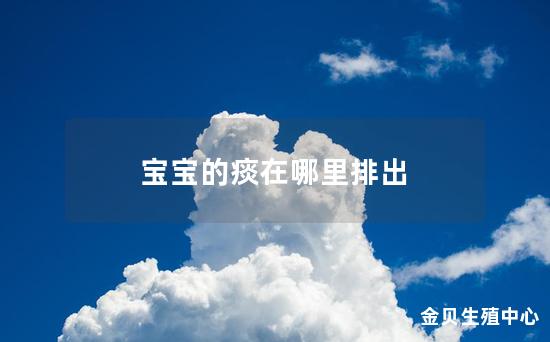 宝宝的痰在哪里排出