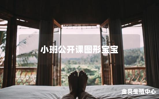 小班公开课图形宝宝