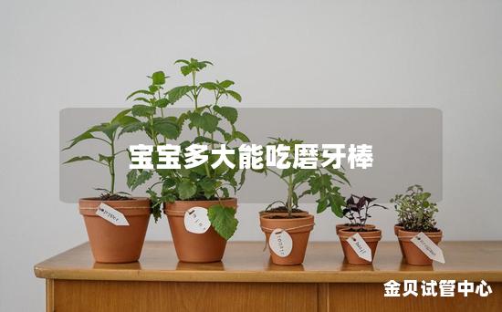 宝宝多大能吃磨牙棒