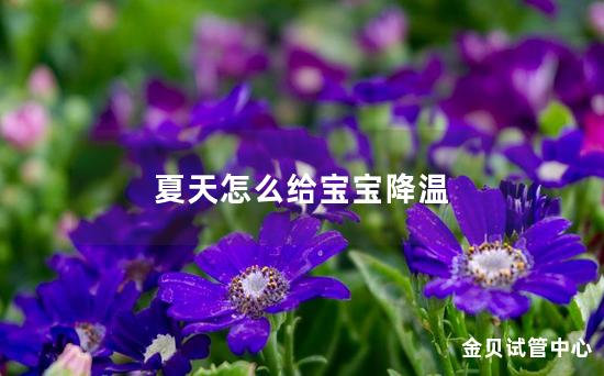 夏天怎么给宝宝降温