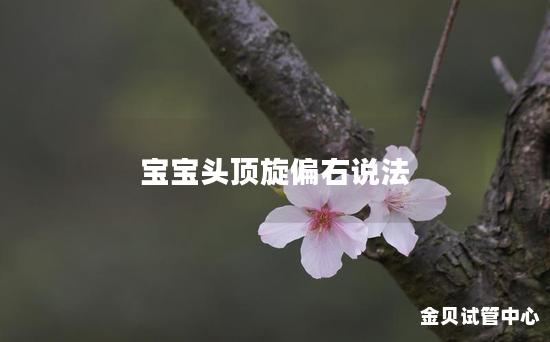 宝宝头顶旋偏右说法