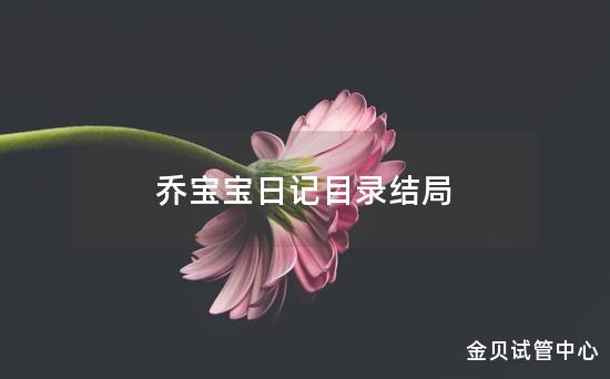 乔宝宝日记目录结局