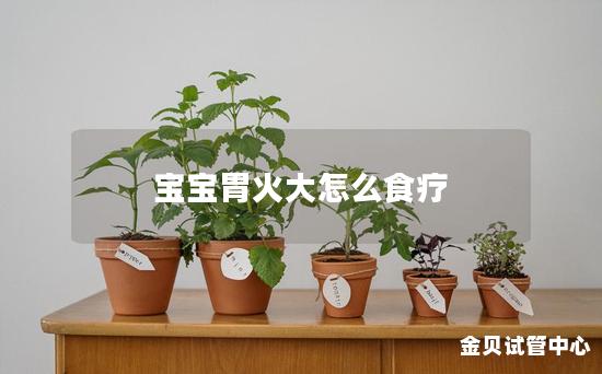 宝宝胃火大怎么食疗