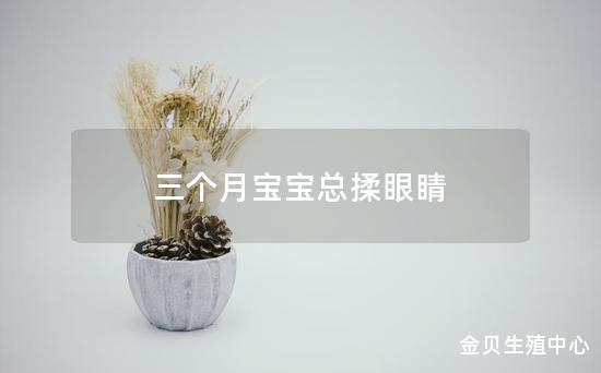 三个月宝宝总揉眼睛