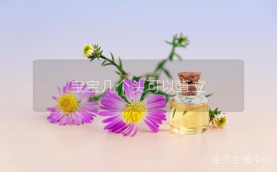 宝宝几个头可以直立