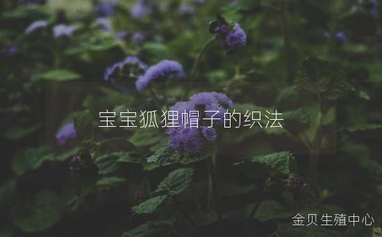 宝宝狐狸帽子的织法