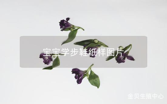 宝宝学步鞋纸样图片