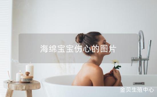 海绵宝宝伤心的图片