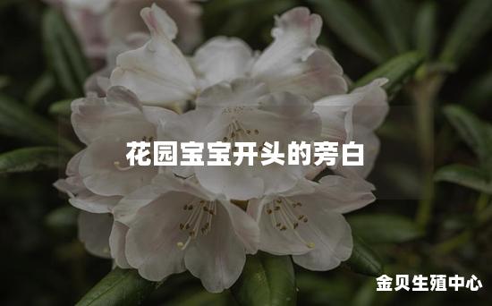 花园宝宝开头的旁白