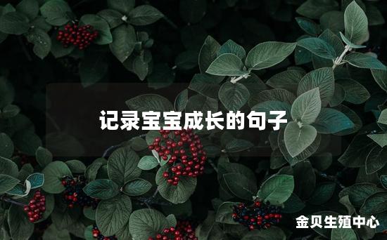 记录宝宝成长的句子