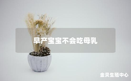 早产宝宝不会吃母乳