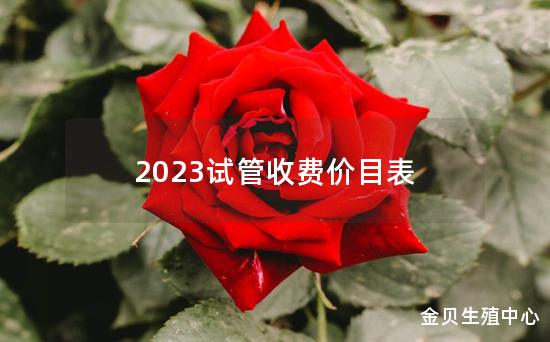 2023试管收费价目表