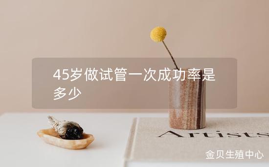 45岁做试管一次成功率是多少