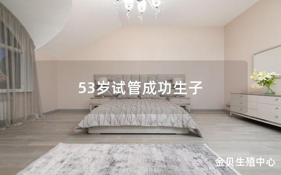 53岁试管成功生子