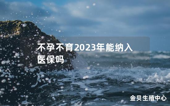 不孕不育2023年能纳入医保吗