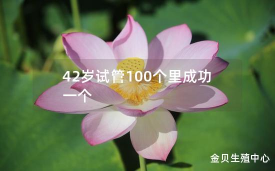 42岁试管100个里成功一个