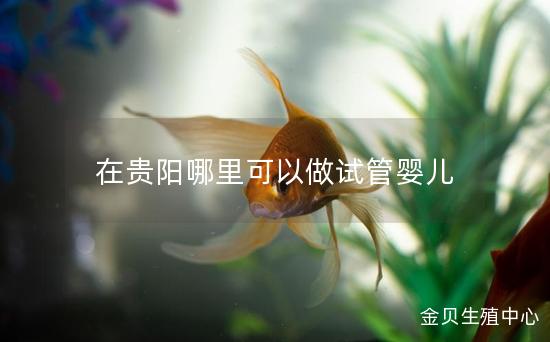 在贵阳哪里可以做试管婴儿