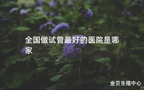 全国做试管最好的医院是哪家