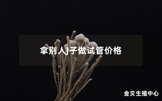 拿别人J子做试管价格