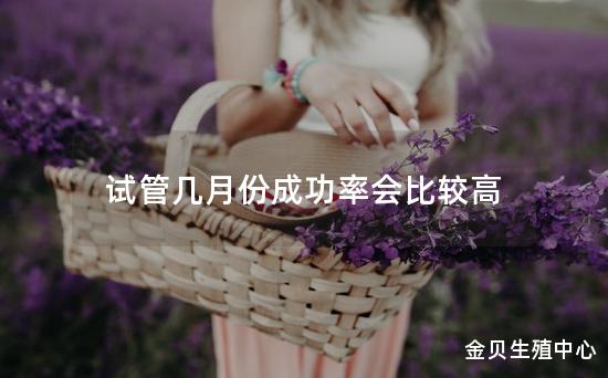 试管几月份成功率会比较高