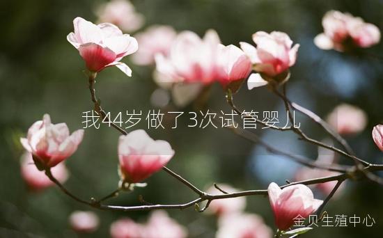 我44岁做了3次试管婴儿