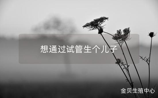 想通过试管生个儿子