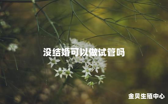 没结婚可以做试管吗