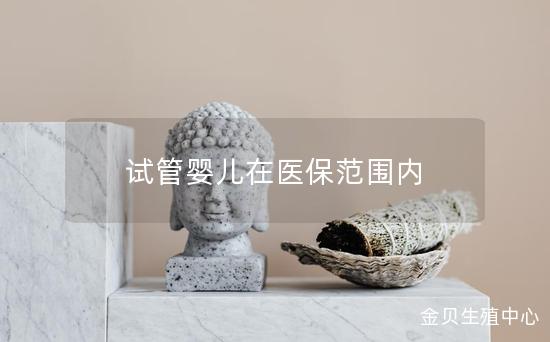 试管婴儿在医保范围内