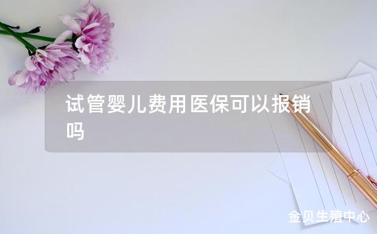 试管婴儿费用医保可以报销吗