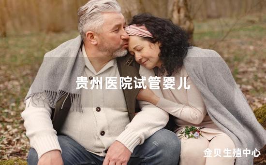 贵州医院试管婴儿