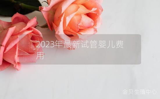 2023年最新试管婴儿费用