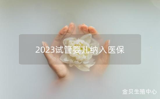 2023试管婴儿纳入医保