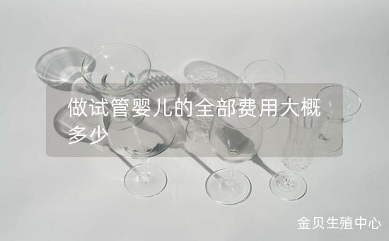 做试管婴儿的全部费用大概多少