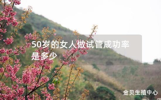 50岁的女人做试管成功率是多少