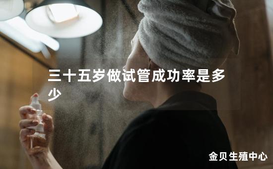 三十五岁做试管成功率是多少