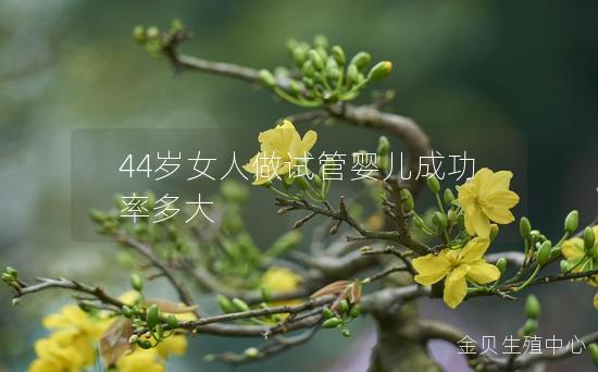 44岁女人做试管婴儿成功率多大