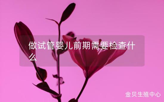 做试管婴儿前期需要检查什么