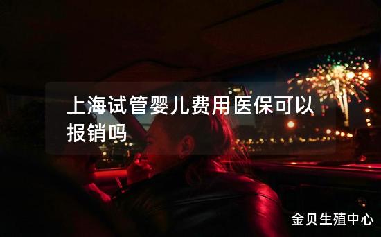 上海试管婴儿费用医保可以报销吗