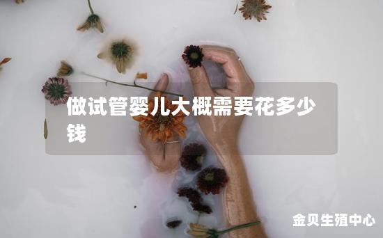 做试管婴儿大概需要花多少钱