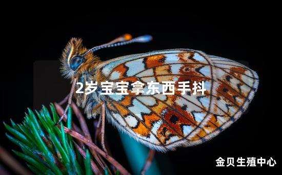 2岁宝宝拿东西手抖