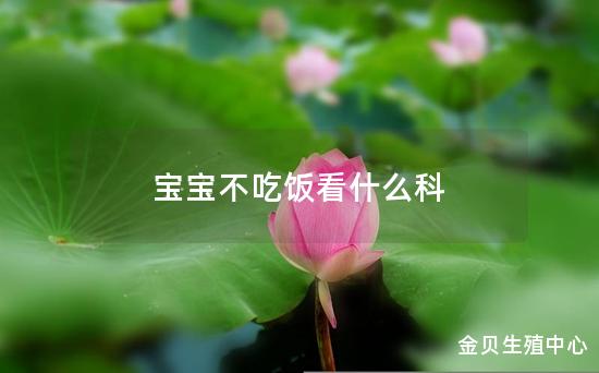 宝宝不吃饭看什么科