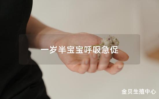 一岁半宝宝呼吸急促