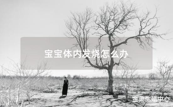 宝宝体内发烧怎么办