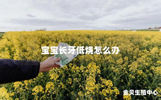 宝宝长牙低烧怎么办