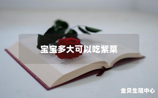 宝宝多大可以吃紫菜