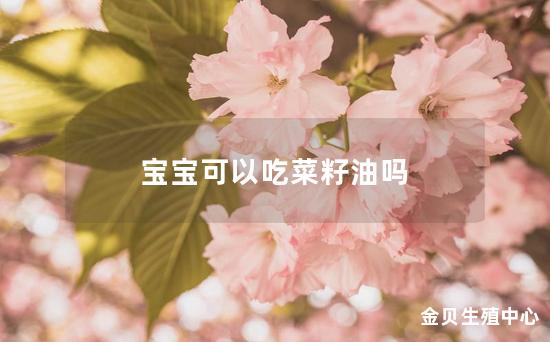 宝宝可以吃菜籽油吗