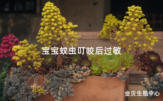 宝宝蚊虫叮咬后过敏