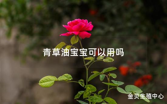 青草油宝宝可以用吗